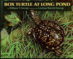 Mrs. D. Hammond reading Box Turtle at Long Pond